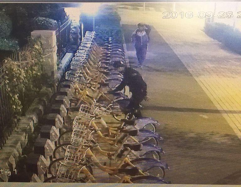 GA黄金甲·(中国集团)官方网站