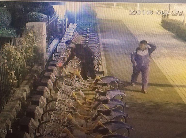 GA黄金甲·(中国集团)官方网站