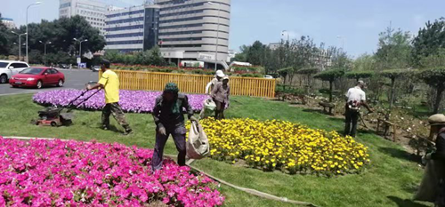 GA黄金甲·(中国集团)官方网站