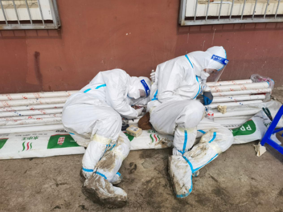 GA黄金甲·(中国集团)官方网站